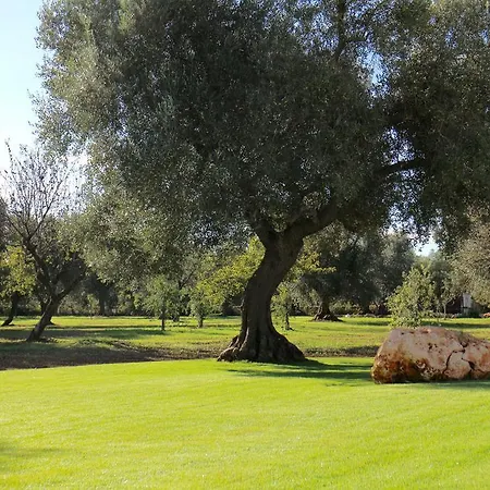 Trulli Della Poesia San Vito dei Normanni